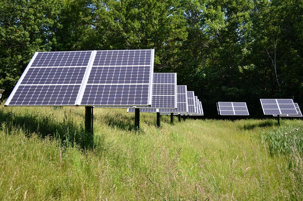 Visual comparison chart of renewable and non-renewable resources