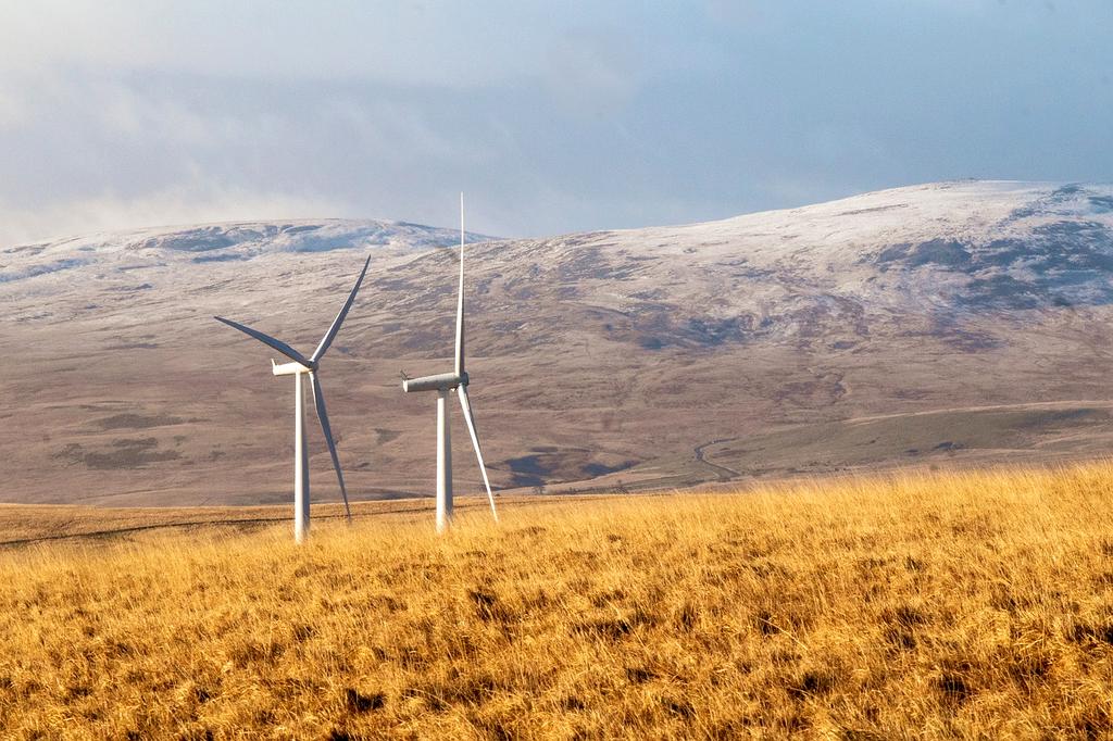 Wind turbines generating electricity in green field